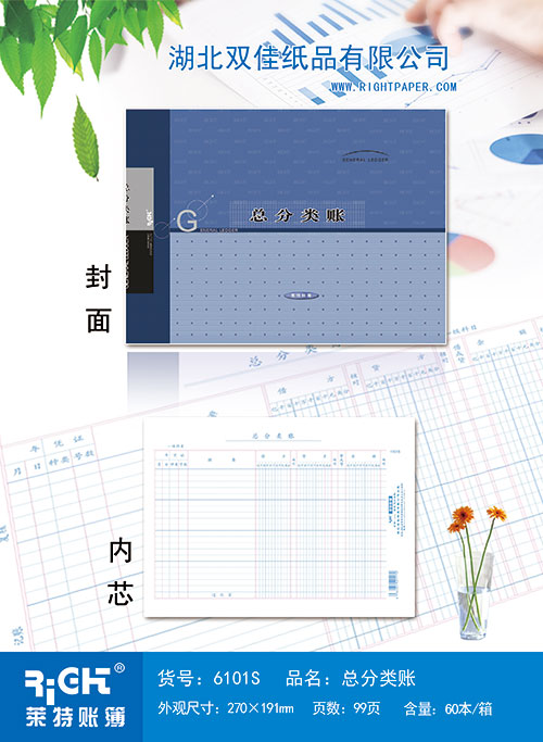 6101S--总分类账